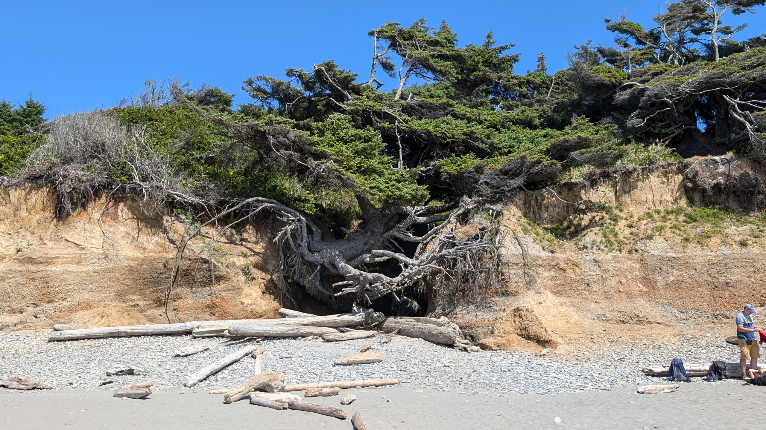 The One Where We Visit Olympic National Park